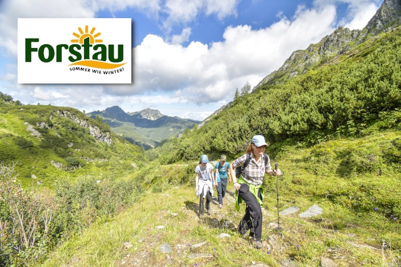 Forstau