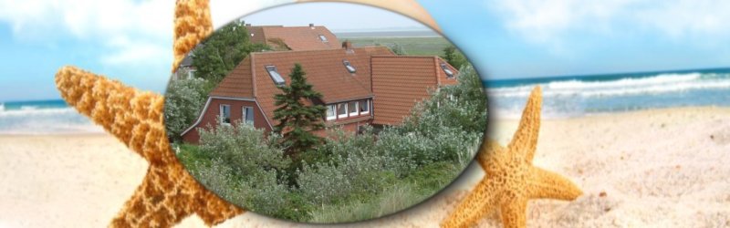 Haus Fischer Z
