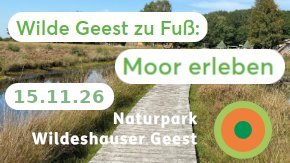 Moor